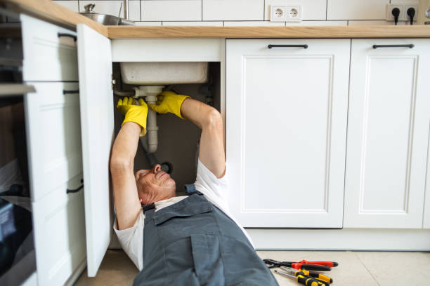 Best Emergency Plumbing Repair  in Los Fresnos, TX