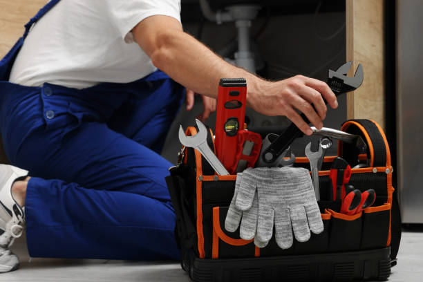 Best Local Plumber Services  in Los Fresnos, TX
